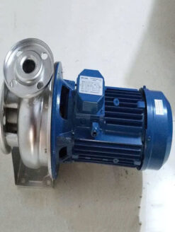 Bơm Trục Ngang Beluno Đầu Inox ( Italy )