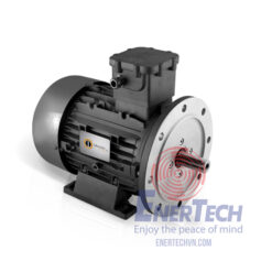 Động Cơ Điện Phòng Nổ Elprom