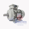 Động Cơ Điện 3 Pha Vỏ Nhôm ESA 2 2 dong co dien 3 pha enertech esa 0 1