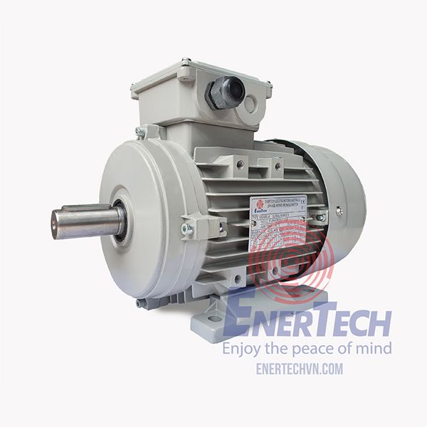 2_dong-co-dien-3-pha-enertech-esa-0 2 dong co dien 3 pha enertech esa 0 1