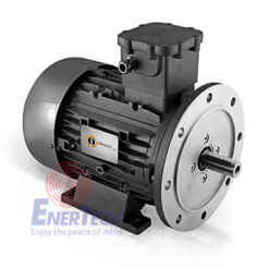 Động Cơ Điện Phòng Chống Cháy Nổ EX D