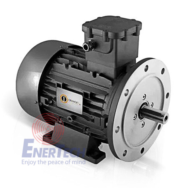 2_dong-co-dien-phong-chong-chay-no-ex-d--0 2 dong co dien phong chong chay no ex d 0