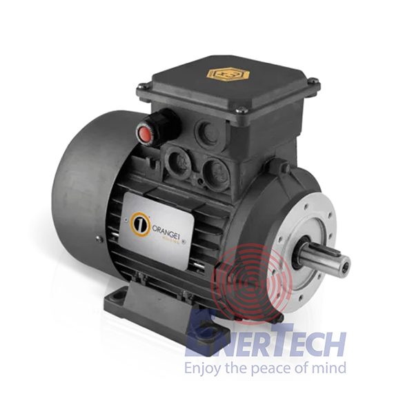 3_dong-co-dien-phong-no-an-toan-ex-e--0 3 dong co dien phong no an toan ex e 0