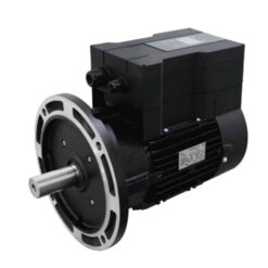 Động Cơ Đồng Bộ PM Tích Hợp Biến Tần (IE5) EWSTF