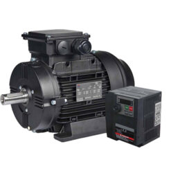 Động Cơ Nam Châm Vĩnh Cửu (IE5/IE4) Dòng EWST